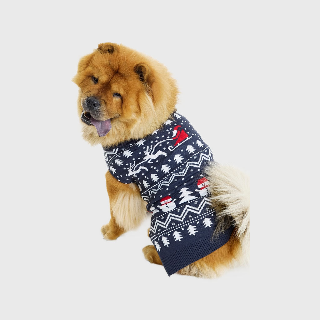 Stilvolle Hunde-Weihnachtspullover